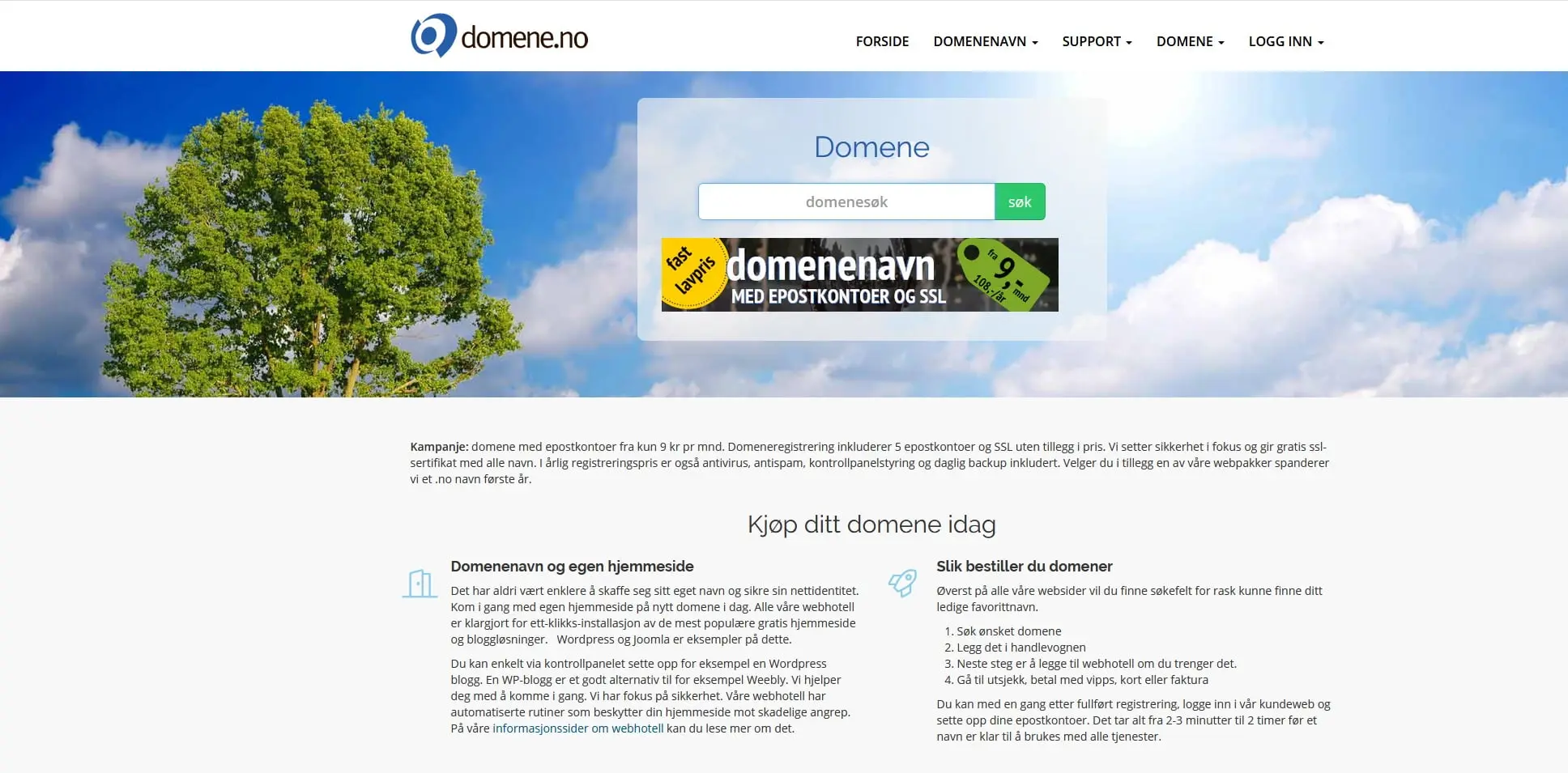 Anmeldelse av Domene.no