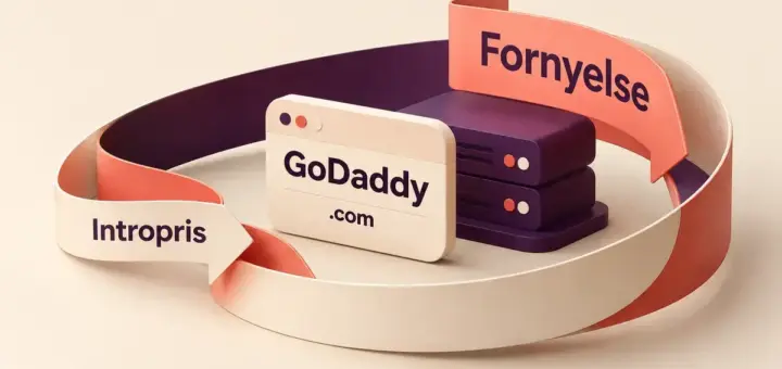 Illustrasjon av GoDaddy med et domeneskilt og en server omgitt av et bånd som viser overgangen fra intropris til fornyelse.
