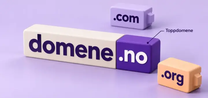 Illustrasjon av domenenavnet domene.no med .no fremhevet som toppdomene og utskiftbare klosser merket .com og .org.