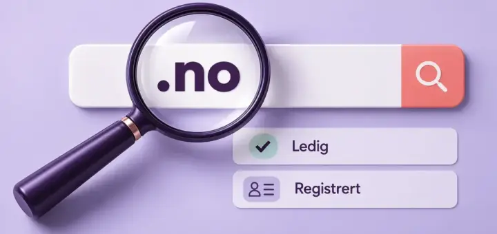 Et forstørrelsesglass fremhever .no i et søkefelt med statusene «Ledig» og «Registrert» for norske domener.